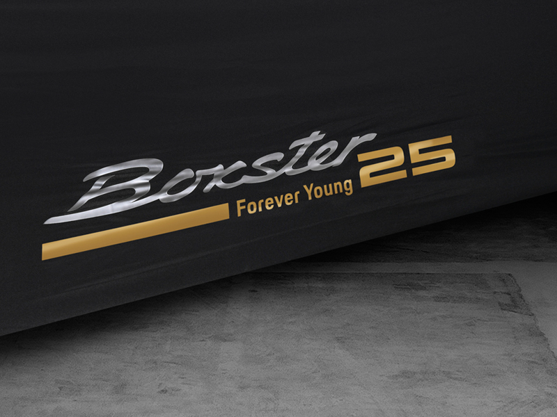 Buy Porsche Boxster 986/987/981 (19972016) Car Covers Indoor Design 911